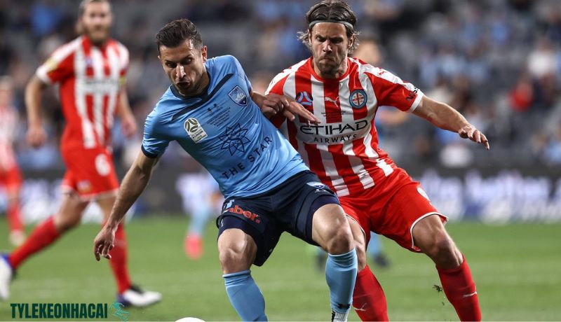 Những ngôi sao từng tỏa sáng tại giải VĐQG Australia