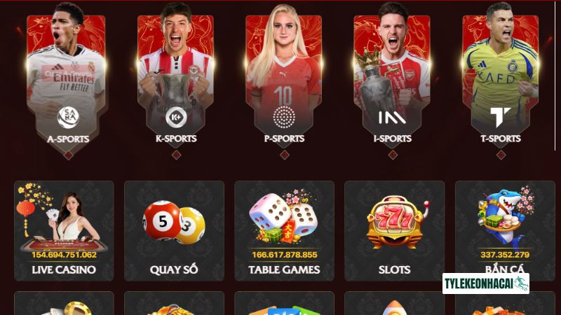 Hệ thống sản phẩm đa dạng Hệ thống sản phẩm đa dạng