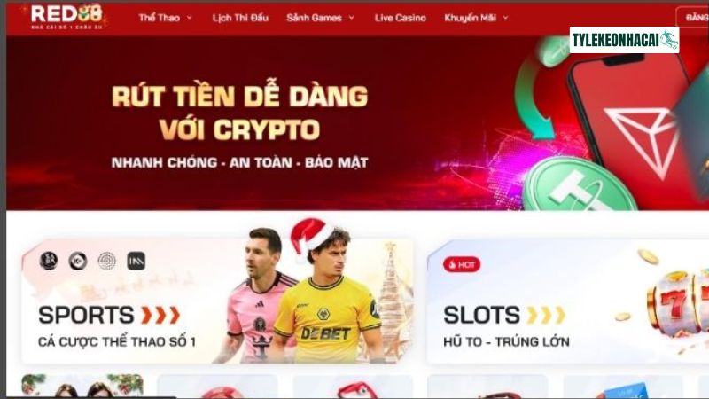 Sảnh thể thao cực chất Sảnh thể thao cực chất