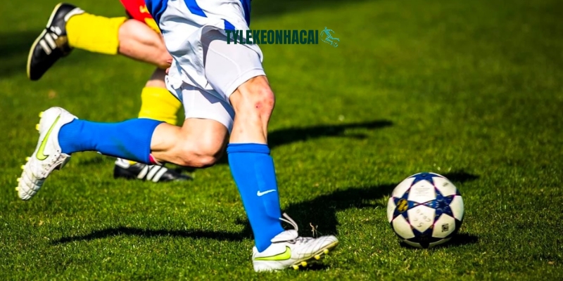 Bạn không cần lo lắng về chi phí, bởi hệ thống hoàn toàn miễn phí Bạn không cần lo lắng về chi phí, bởi hệ thống hoàn toàn miễn phí