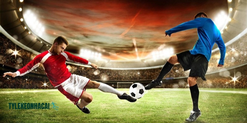 Các tân thủ không gặp nhiều khó khăn khi thao tác tại hệ thống Các tân thủ không gặp nhiều khó khăn khi thao tác tại hệ thống