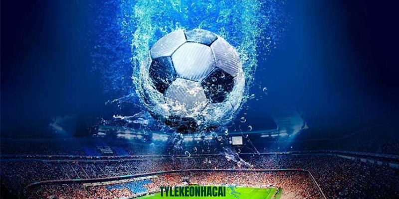 Đội ngũ phân tích thông tin vô cùng kỹ càng, đa góc cạnh