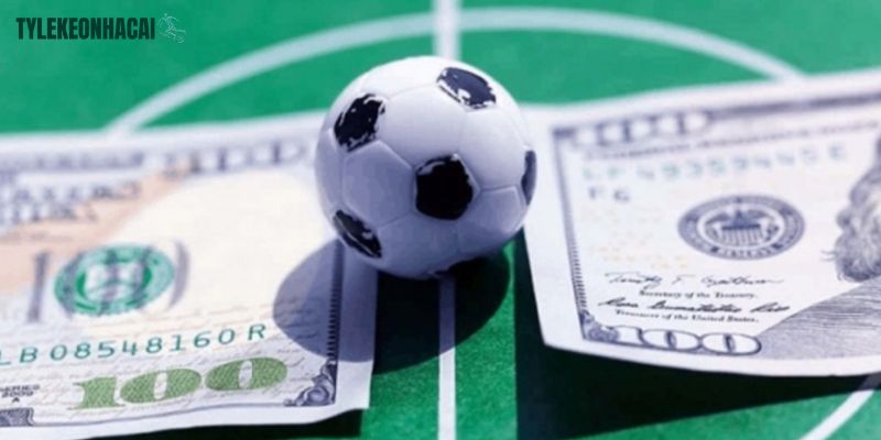 DOM88 thích hợp đối với những đối tượng người chơi nào? DOM88 thích hợp đối với những đối tượng người chơi nào?