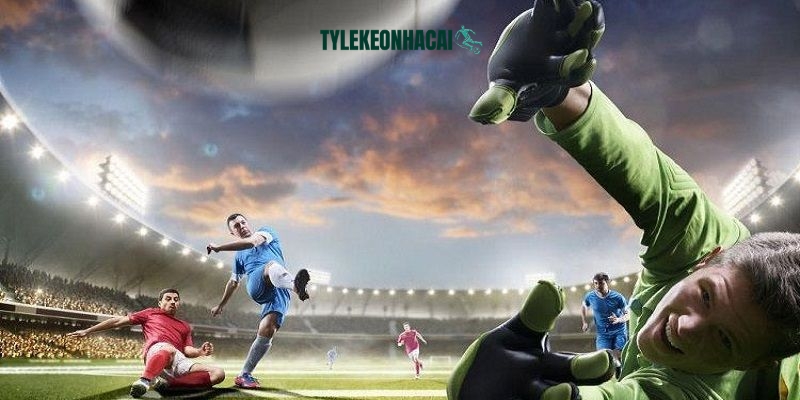 Hệ thống luôn hỗ trợ đắc lực giúp bạn đưa ra tỷ lệ cược tối ưu Hệ thống luôn hỗ trợ đắc lực giúp bạn đưa ra tỷ lệ cược tối ưu