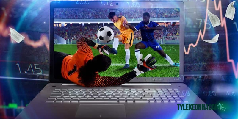 Hệ thống sàng lọc và chỉ liên kết với những sân chơi chất lượng, uy tín Hệ thống sàng lọc và chỉ liên kết với những sân chơi chất lượng, uy tín