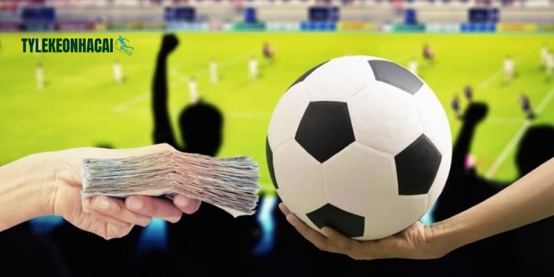 Kinh nghiệm lựa chọn và tham gia giải trí tại sân chơi mới Kinh nghiệm lựa chọn và tham gia giải trí tại sân chơi mới