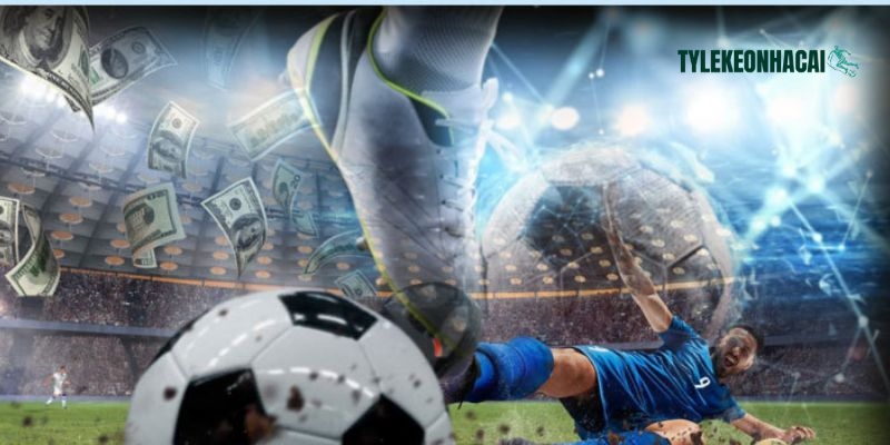 Người dùng cần tuân thủ các điều khoản được quy định trong Tuyên bố bản quyền