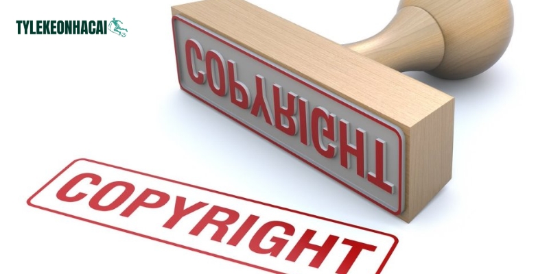 Tổng hợp chính sách tuyên bố bản quyền của hệ thống