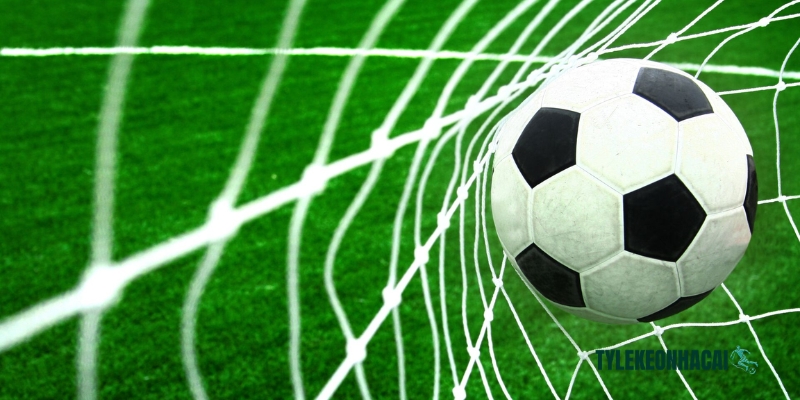 Tổng hợp những thắc mắc phổ biến về website Tỷ lệ kèo nhà cái Tổng hợp những thắc mắc phổ biến về website Tỷ lệ kèo nhà cái