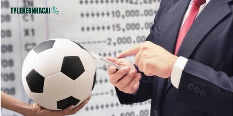 Tổng hợp thông tin giới thiệu về hệ thống